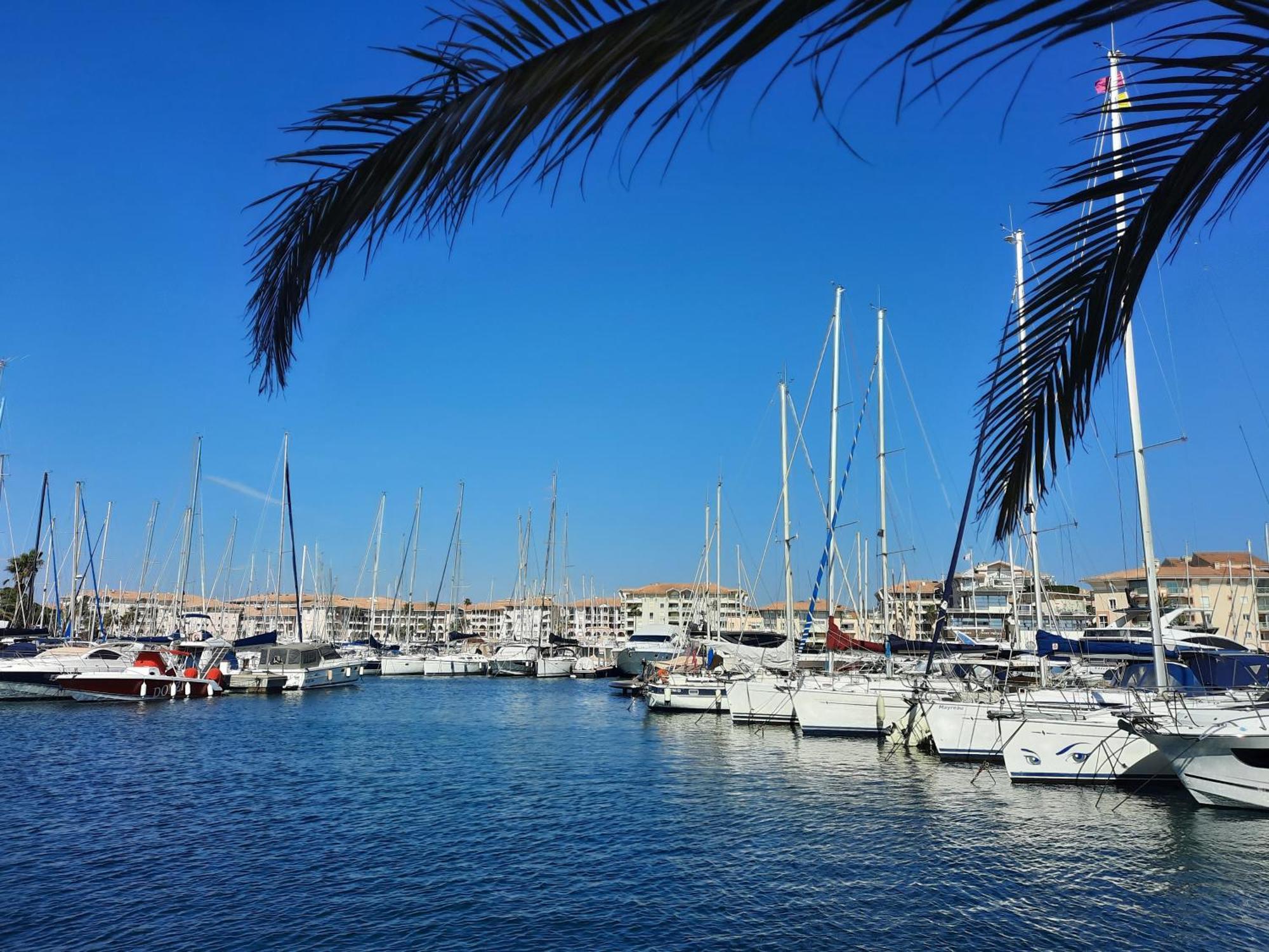 Coeur Marina Climatise Terrasse Parking Daire Fréjus Dış mekan fotoğraf